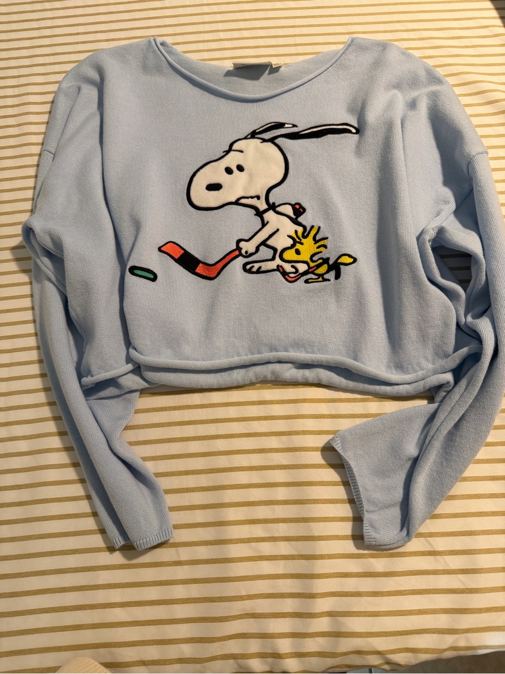 Aeropostale Light Blue Snoopy & Woodstock Hockey Cropped Sweatshirt